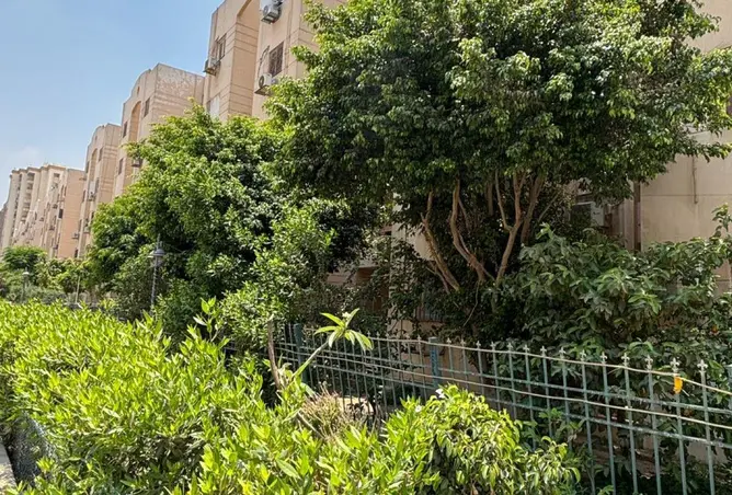 86695878 - صورة العقار 3