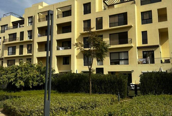 58243010 - Property Image 3