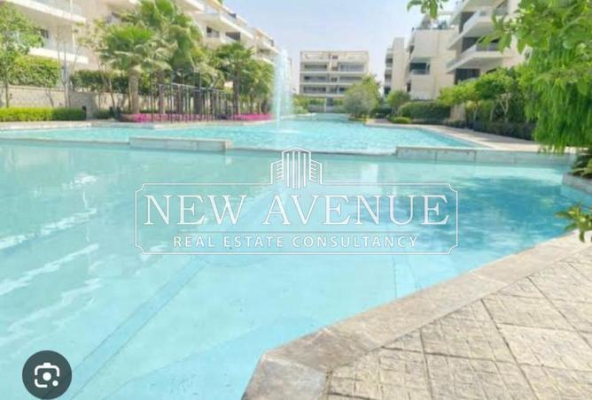 59240501 - Property Image 3