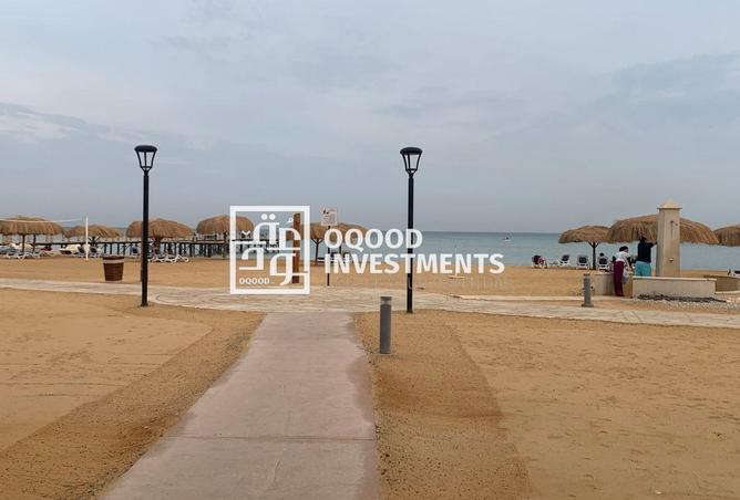 97439528 - Property Image 3