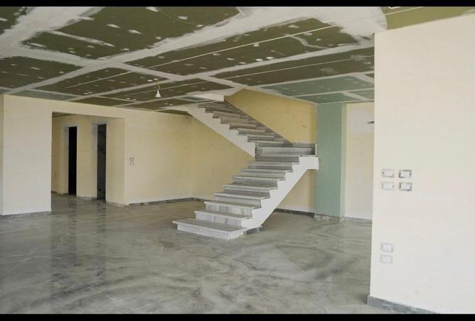 58244211 - صورة العقار 3