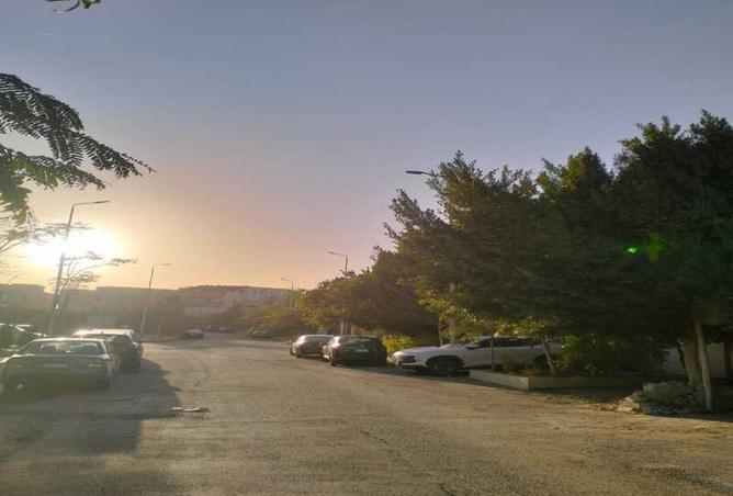 8703181 - صورة العقار 2