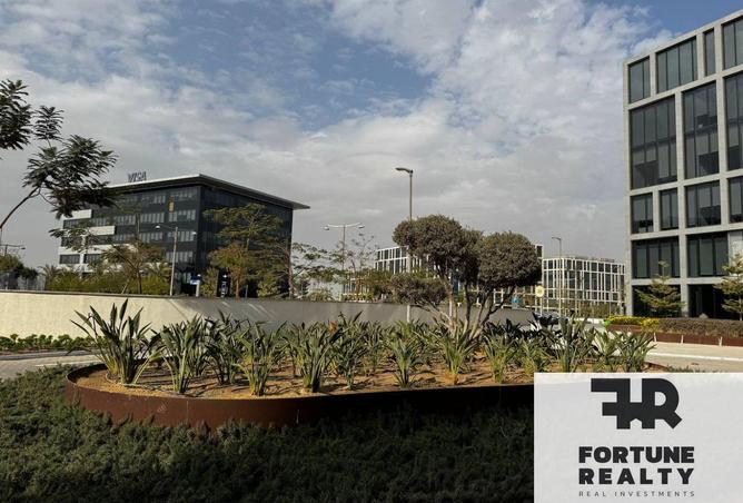 55759958 - Property Image 2