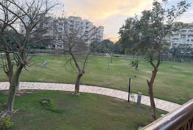 56994217 - Property Image 2