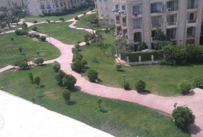 52723824 - صورة العقار 3