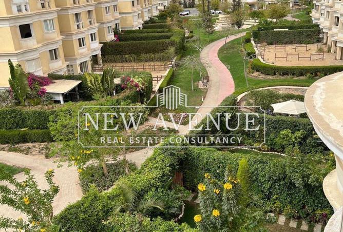 59238141 - Property Image 2