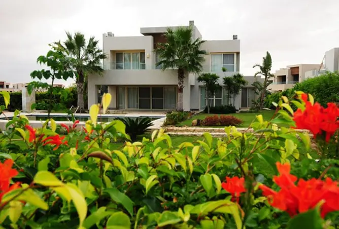 79450991 - صورة العقار 2