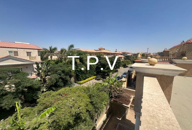 81299218 - Property Image 3
