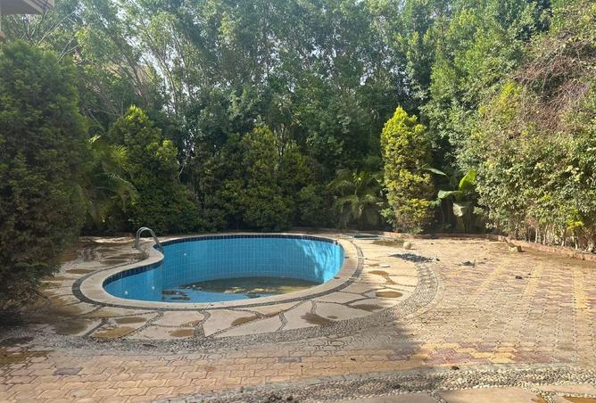 64641106 - صورة العقار 2