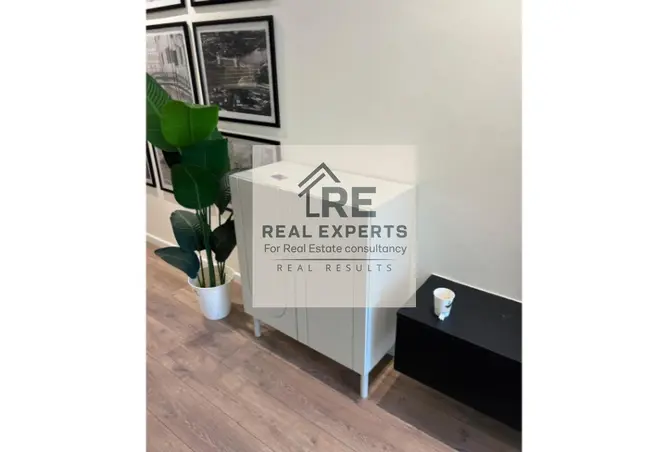 117538299 - Property Image 3