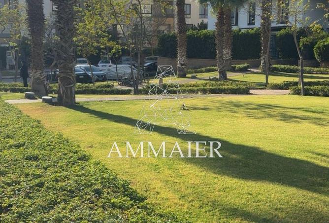 72450291 - صورة العقار 3