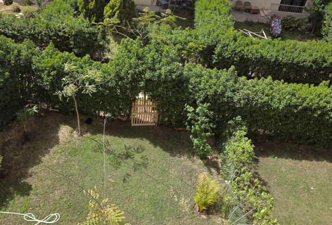 66436862 - Property Main Image