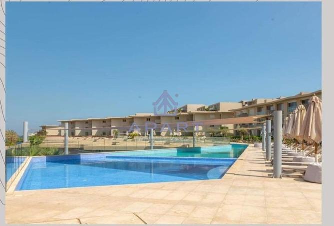 55746071 - Property Image 3