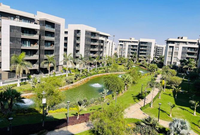 54239807 - صورة العقار 2