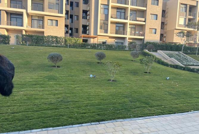 8687847 - صورة العقار 2