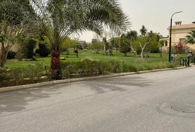 113262844 - صورة العقار 2