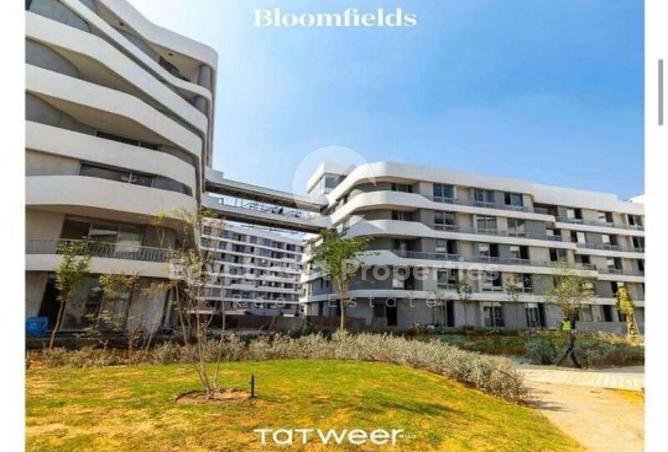 8559849 - Property Image 3