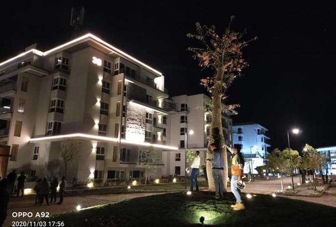 8581649 - Property Image 3