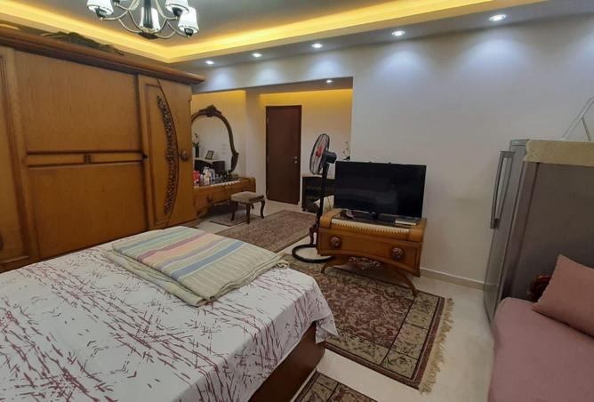 8554359 - Property Image 3