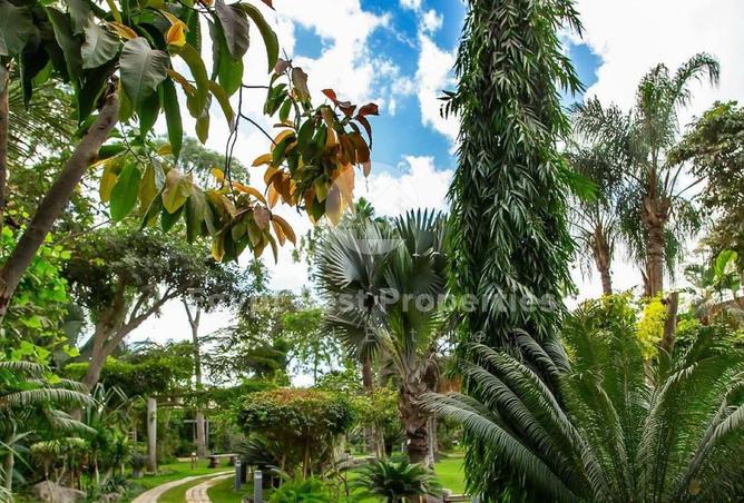 66701681 - صورة العقار 3