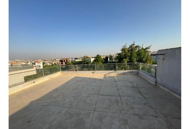 55506380 - صورة العقار 3