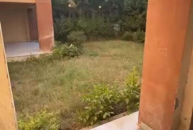 8702738 - Property Image 3