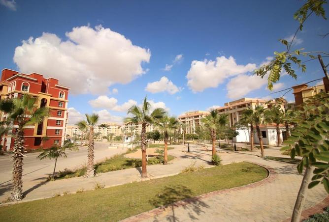 66435889 - Property Image 3