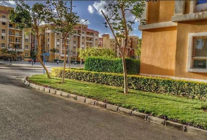 66435889 - Property Image 2