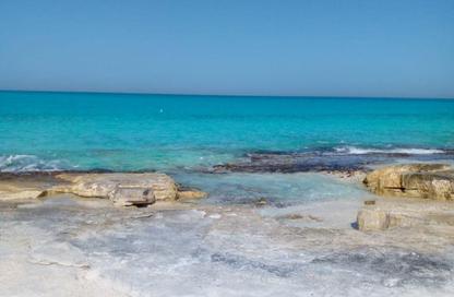 Chalet - 2 Bedrooms - 2 Bathrooms for sale in Bella Marina - Al Alamein - North Coast