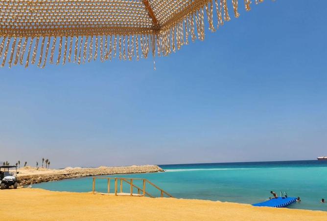 56493392 - Property Image 3