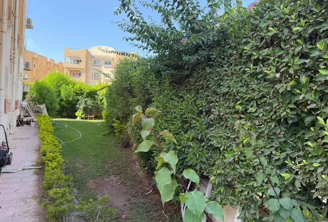 114354475 - صورة العقار 3
