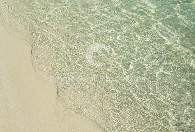 97148645 - صورة العقار 3