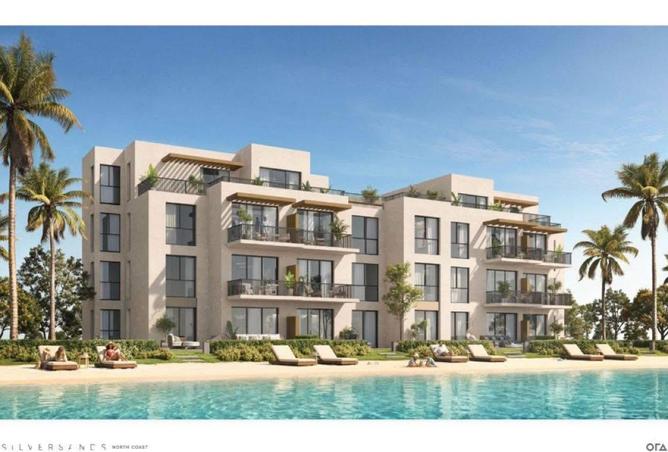 65909450 - صورة العقار 2