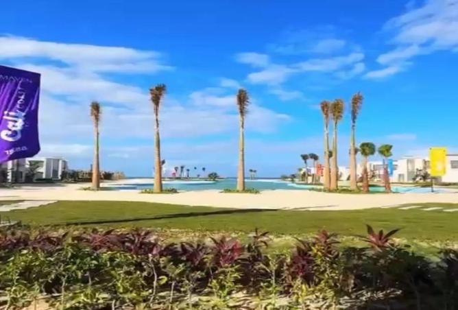 65913477 - صورة العقار 3