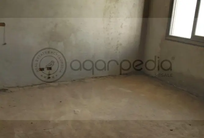 116754924 - Property Image 2