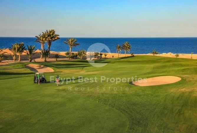 96867411 - Property Image 2