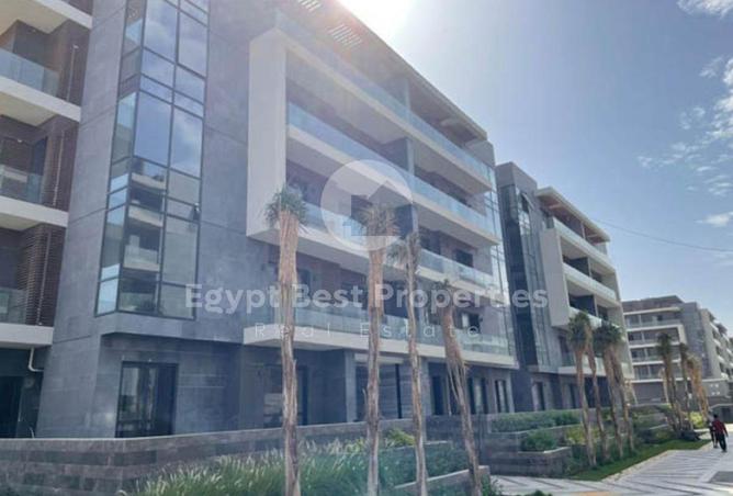 8634699 - Property Image 3