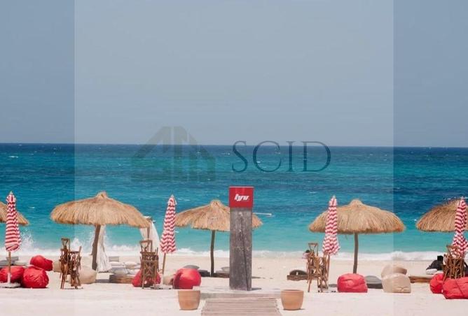 83665747 - صورة العقار 3