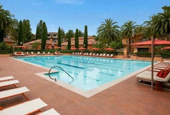 8551306 - Property Image 3