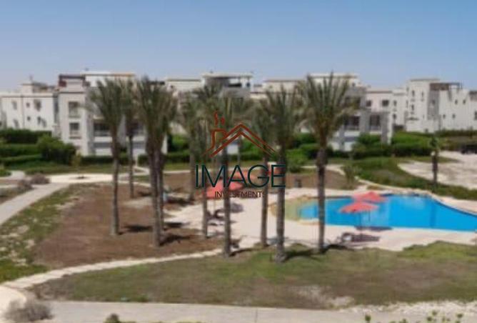 52716518 - صورة العقار 3