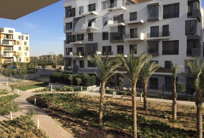 64646590 - صورة العقار 2