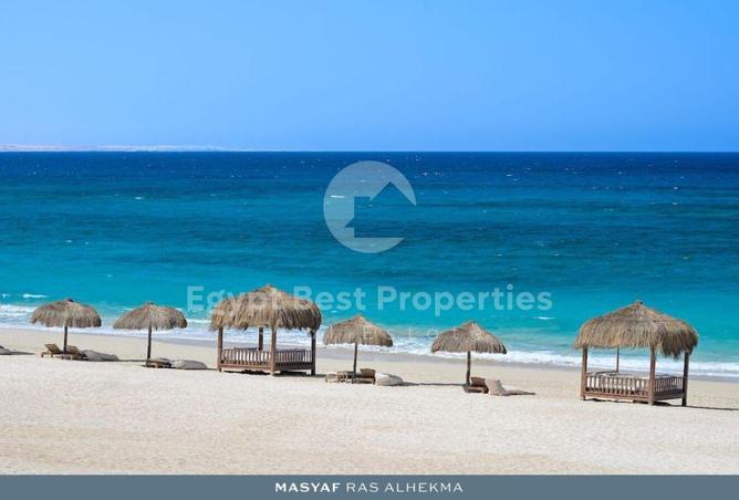108798759 - Property Image 3
