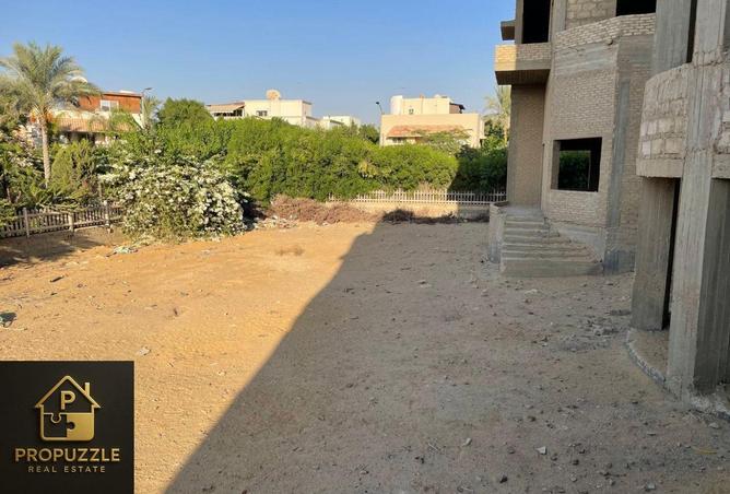 55509027 - Property Image 2