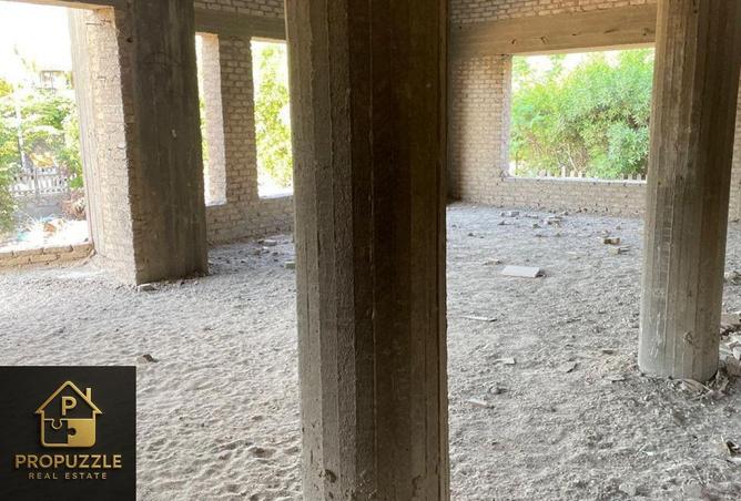 55509027 - Property Image 3