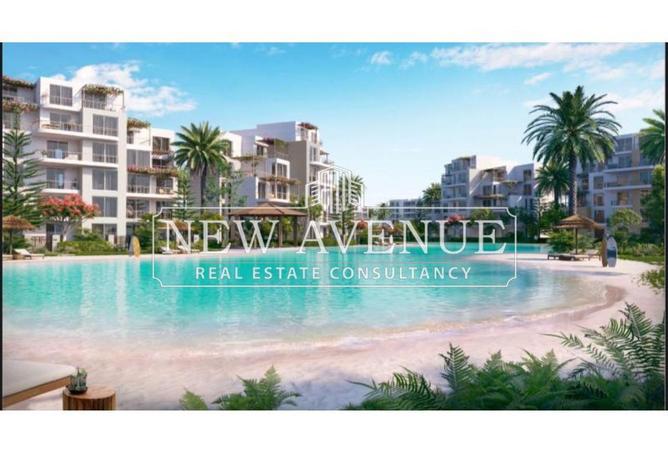 68526087 - Property Image 3