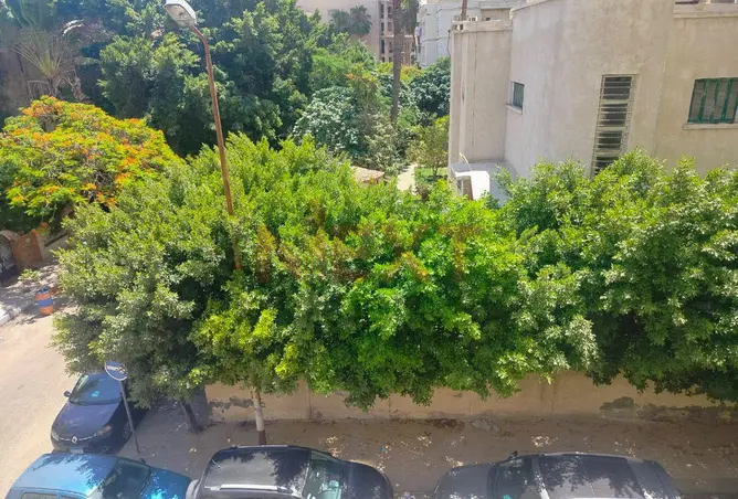 91562577 - صورة العقار 3