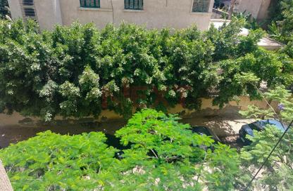 Apartment - 3 Bedrooms - 3 Bathrooms for sale in Smouha - Hay Sharq - Alexandria