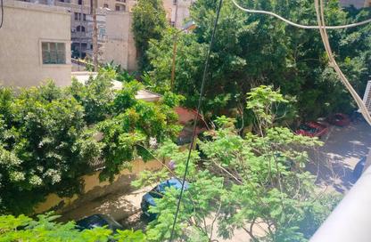 Apartment - 3 Bedrooms - 3 Bathrooms for sale in Smouha - Hay Sharq - Alexandria Apartment - 3 Bedrooms - 3 Bathrooms for sale in Smouha - Hay Sharq - Alexandria