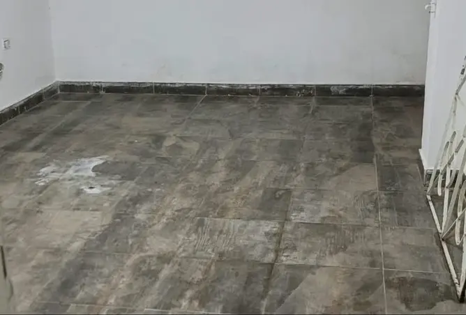 117529278 - Property Image 3