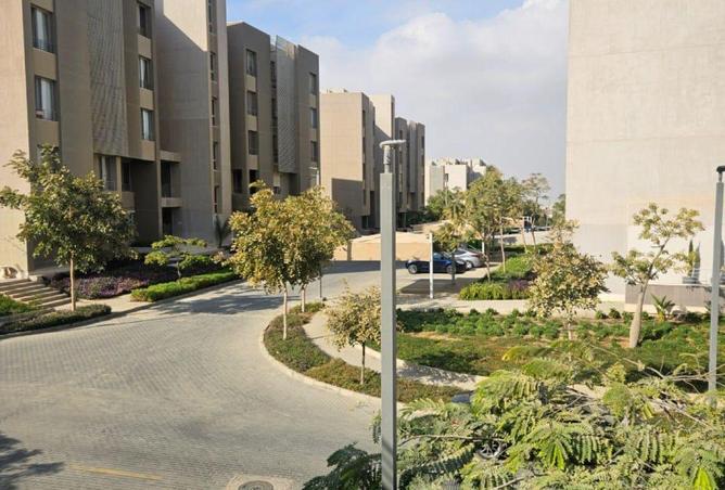 53976533 - Property Image 3